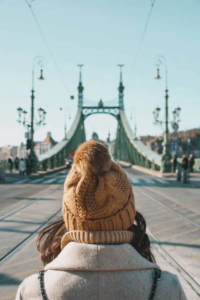 Disparo Vertical Mujer Por Detrás Pie Frente Puente Liberty Budapest —  Fotos de Stock