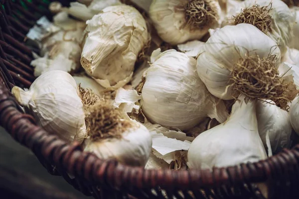 Garlic Roots Container — Stock Photo, Image