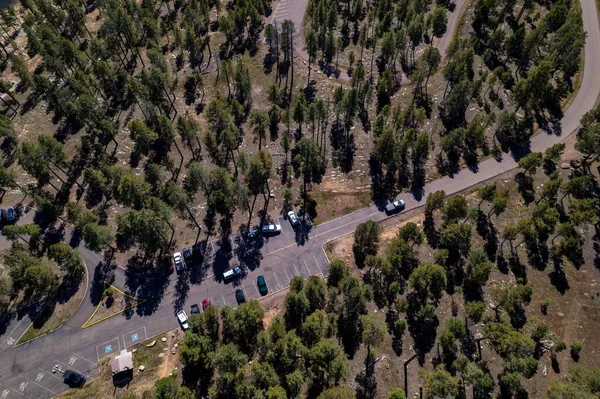 Drone Aereo Una Foresta Nazionale Arizona Stati Uniti — Foto Stock
