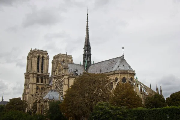 Notre Dame Oddali Paryżu Francja Zielonymi Drzewami Pod Pochmurnym Niebem — Zdjęcie stockowe