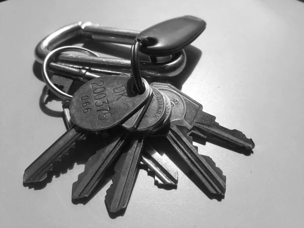 Серый Снимок Связки Ключей — стоковое фото