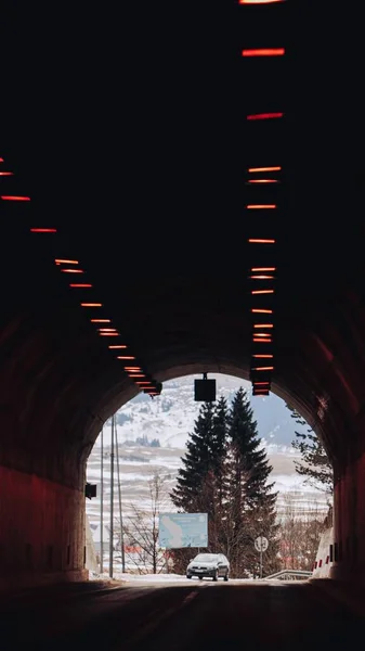 Uma Filmagem Vertical Túnel Com Carro Dirigindo Uma Árvore Fundo — Fotografia de Stock