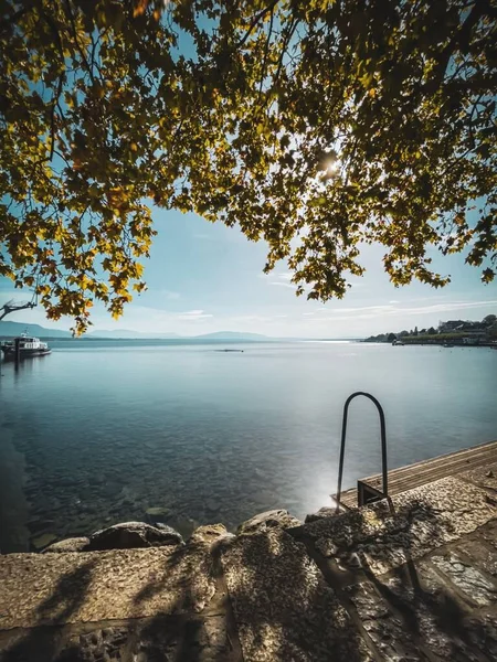 スイスのジュネーヴにある美しい湖の垂直ショット — ストック写真