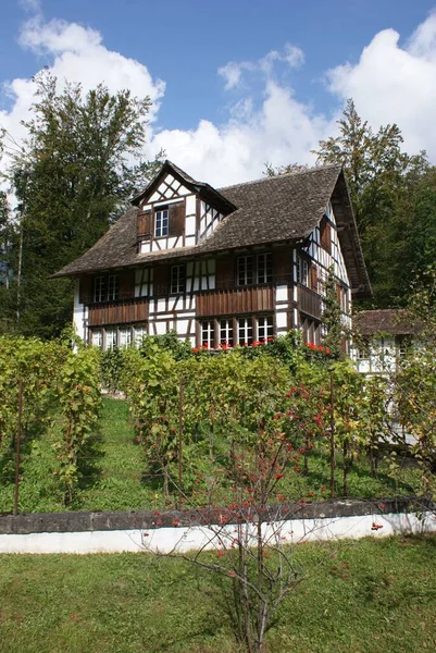 stock image A vertical shot of a beautiful countryside house with the green garden and trees against the blue sky