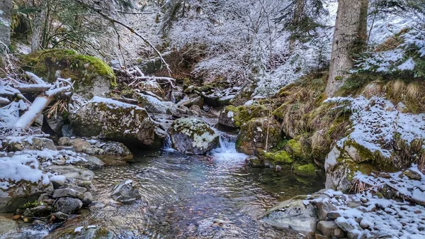Una Bella Scena Invernale Nella Natura Selvaggia Con Cascate Circondate — Foto Stock