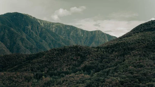 Uma Vista Panorâmica Uma Floresta Densa Verde Com Montanhas Rochosas — Fotografia de Stock