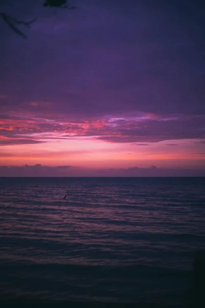 Вертикальное Изображение Моря Красивым Розовым Фиолетовым Небом Над Головой — стоковое фото