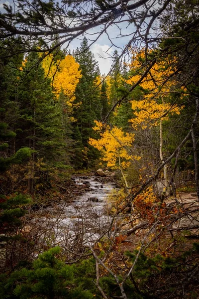Parktaki Sonbahar Ormanında Kayaların Üzerinde Akan Bir Derenin Manzarası — Stok fotoğraf