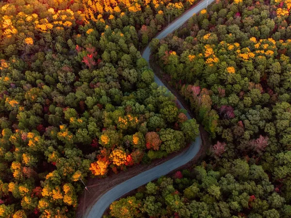 Egy Légi Felvétel Kanyargós Utat Körülvevő Gyönyörű Őszi Fákról — Stock Fotó