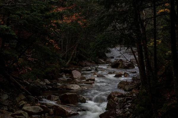 新罕布什尔州一条狭窄的河流流过树木环绕的石子 — 图库照片