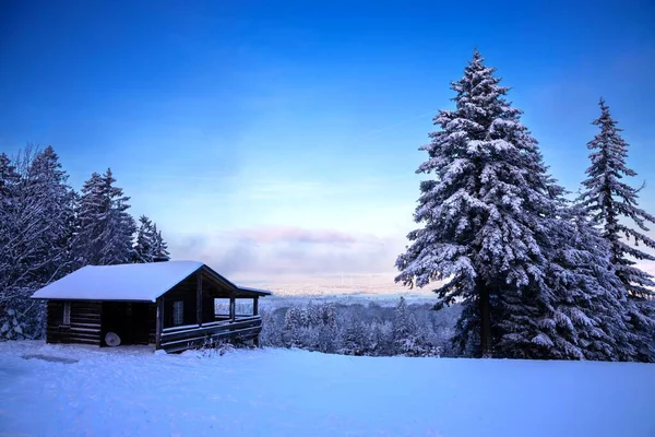 Çam Ağaçlarıyla Çevrili Küçük Ahşap Bir Evin Güzel Kış Manzarası — Stok fotoğraf