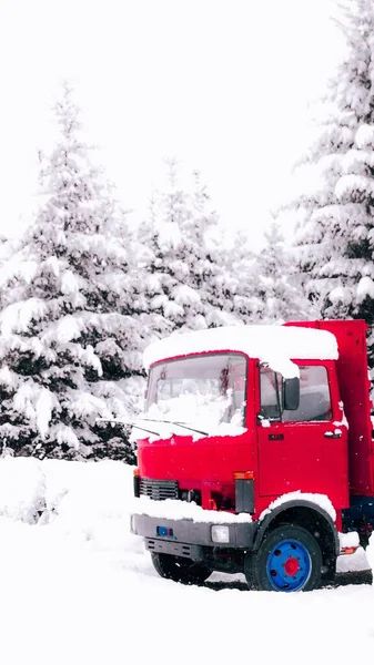 Függőleges Egy Piros Teherautó Örökzöld Fenyőfák Borított Téli Erdőben — Stock Fotó