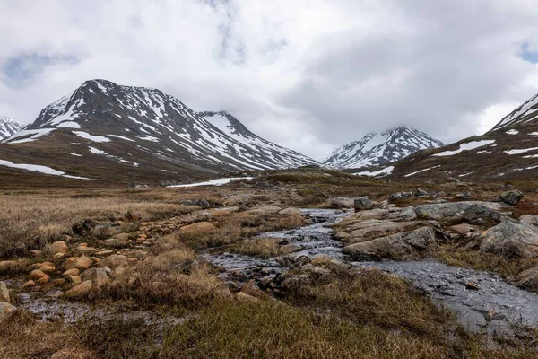 Piękne Ujęcie Strumienia Dolinie Visladen Pobliżu Gór Piterstulen Jotunheimen Norwegia Obraz Stockowy