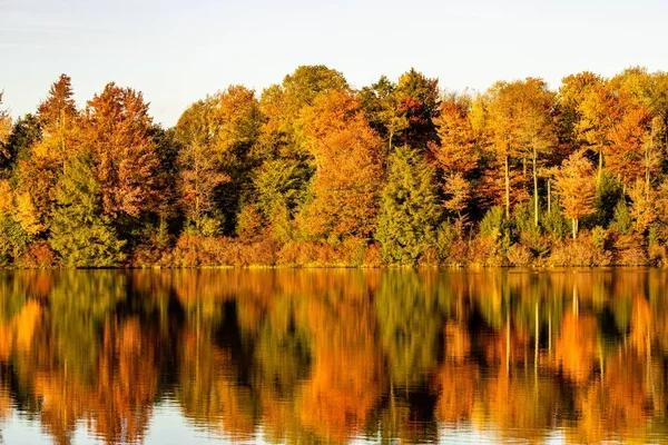 Живописный Вид Озеро Джин Парке Рикеттс Глен Пенсильвании Осенью Стоковое Фото