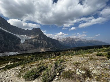 Melek Buzulu 'nun güzel manzarası. Edith Dağı Cavell, Jasper Ulusal Parkı, Kanada.