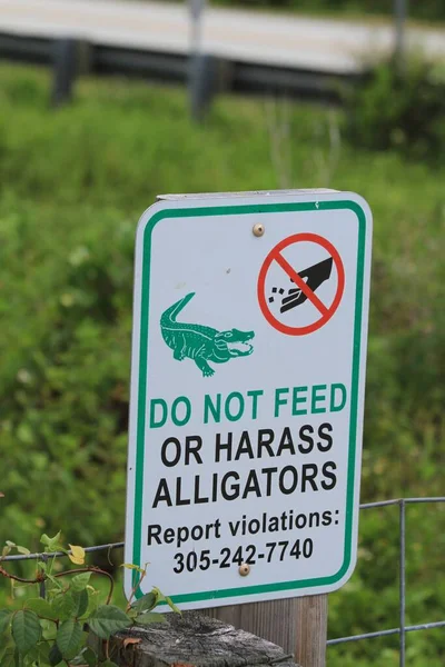 Vertical Shot Signboard Inscriptions Feed Harass Alligators — Stock Photo, Image