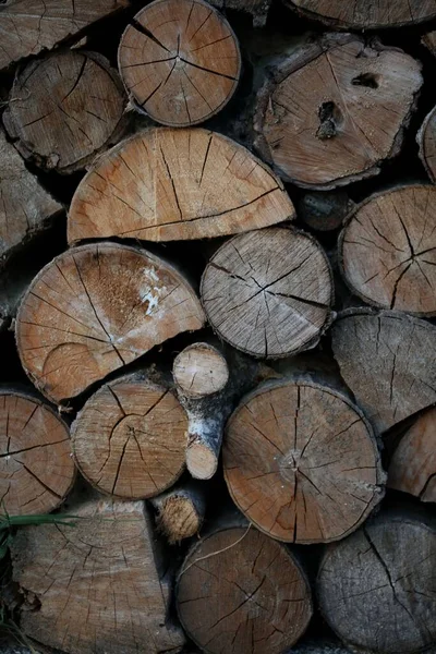 Pionowe Ujęcie Ciętego Drewna Opałowego Tapeta Ciętych Gałęzi Drzew Kłód — Zdjęcie stockowe