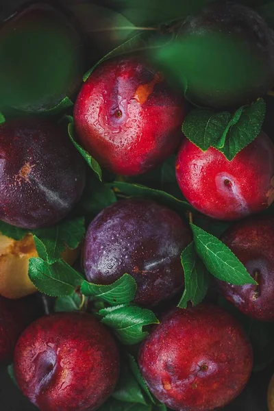 Lezzetli Kırmızı Elmaların Dikey Üst Görünümü — Stok fotoğraf