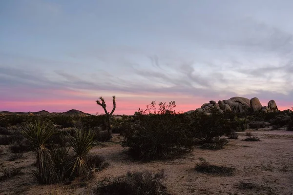 米国カリフォルニア州の夕日の荒野の美しい風景 — ストック写真