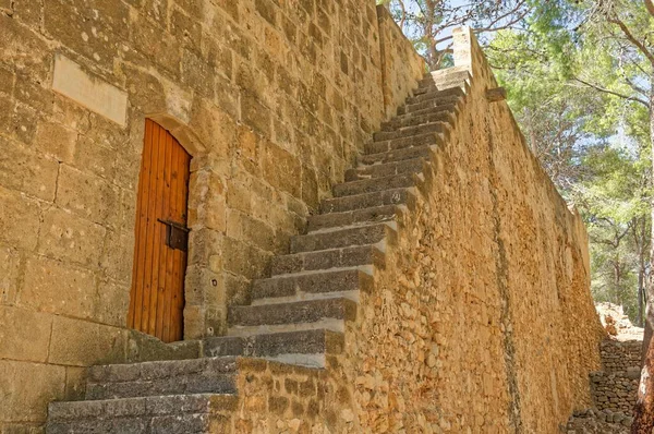 Blick Auf Eine Treppe Vor Einer Alten Holztür Einer Steinmauer — Stockfoto