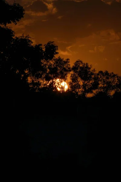 Krásný Svislý Pohled Oranžovou Oblohu Západu Slunce Skrz Větve Stromů — Stock fotografie