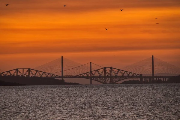 Une Vue Panoramique Des Oiseaux Survolant Forth Bridges Sur Mer — Photo