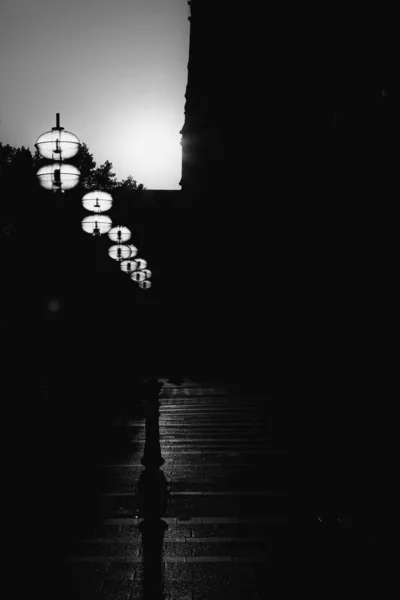Karanlıktaki Sokak Lambalarının Dikey Gri Tonlu Görüntüsü — Stok fotoğraf