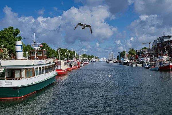 Flying Seagull Harbor Warnemuende — Stock Photo, Image
