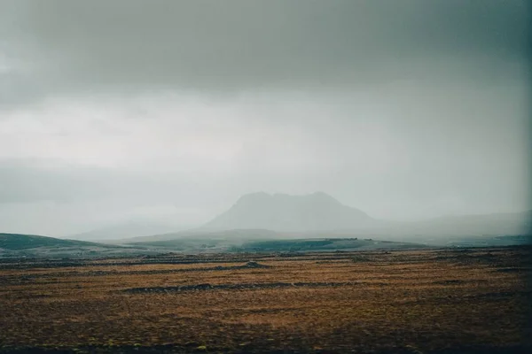 霧の中に隠された山を持つフィールドのビュー アイスランド — ストック写真
