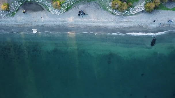 Büyüyen Ağaçlarla Kumsalı Yıkan Deniz Dalgalarının Hava Görüntüsü — Stok video
