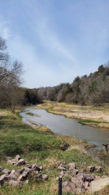 Gündüz vakti çıplak ağaçlarla çevrili nehrin dikey görüntüsü.