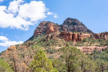 Büyük bir kaya ve yeşil ağaçları olan bir orman.