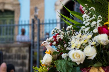Salvador, Bahia, Brezilya - 4 Aralık 2022: Salvador, Bahia 'daki Largo do Pelourinho' da Santa Barbara 'ya hediye edilen çiçeklerin arasında güvercin.