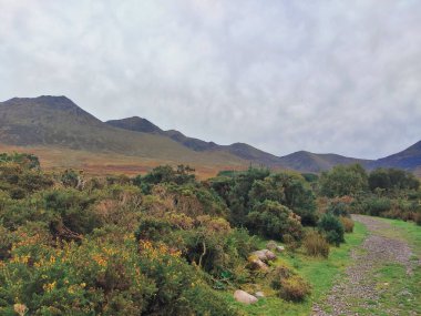 Bir sonbahar parkında, kasvetli bulutların ve yeşil bitkilerin altında bir sıra dağ.