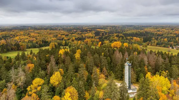 Een Antenne Opname Van Een Toren Omringd Door Herfst Bomen — Stockfoto