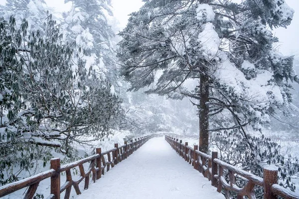 Piękne Ujęcie Drewnianej Ścieżki Lesie Pokrytym Śniegiem Zimie — Zdjęcie stockowe