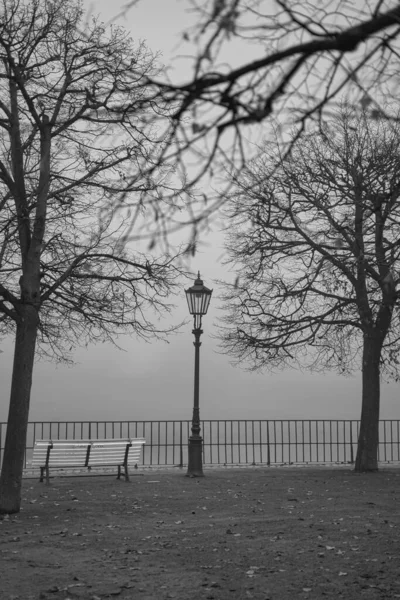 Паркова Лавка Туманному Світанку Чорно Біла — стокове фото