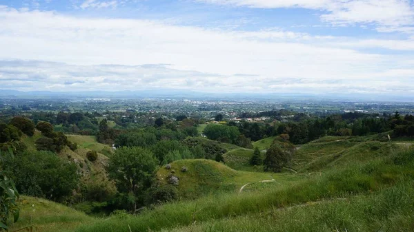 Idyllisk Natur Landskap Gröna Kullar Och Träd Nya Zeeland — Stockfoto