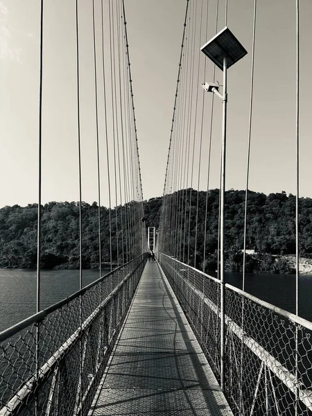 Puente Sobre Lago Rodeado Árboles Densos —  Fotos de Stock