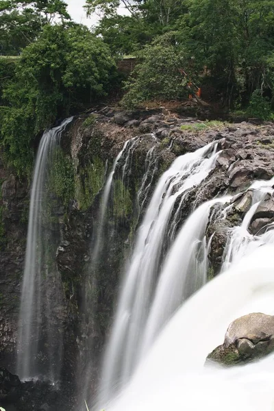 Tiro Cênico Vertical Uma Cachoeira Uma Floresta Fresco Para Fundo — Fotografia de Stock