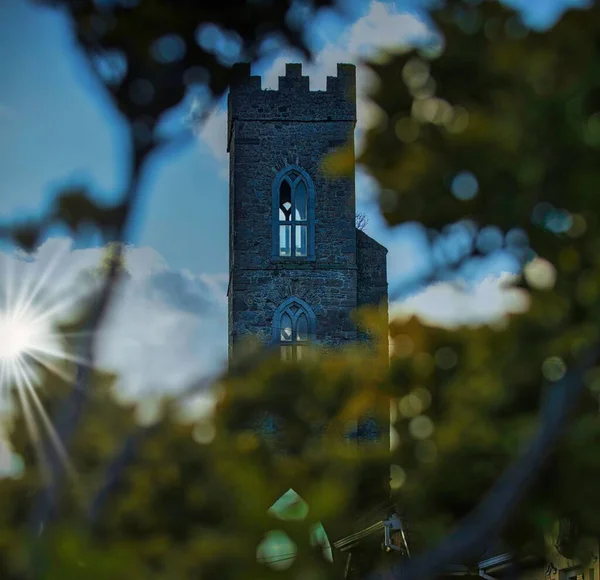 Blick Zwischen Den Zweigen Auf Den Magdalenenturm Einem Sonnigen Tag — Stockfoto