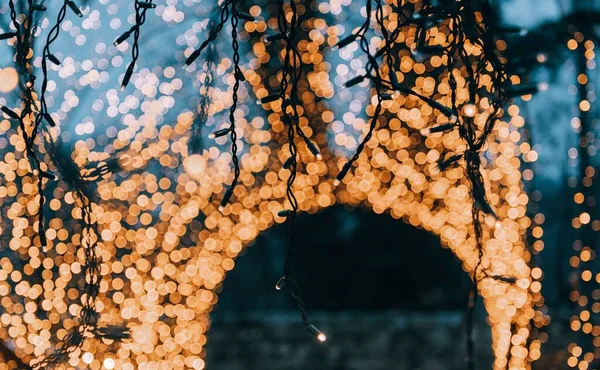 Krásná Bokeh Záběr Vánoční Světla Zdobí Zahradu — Stock fotografie