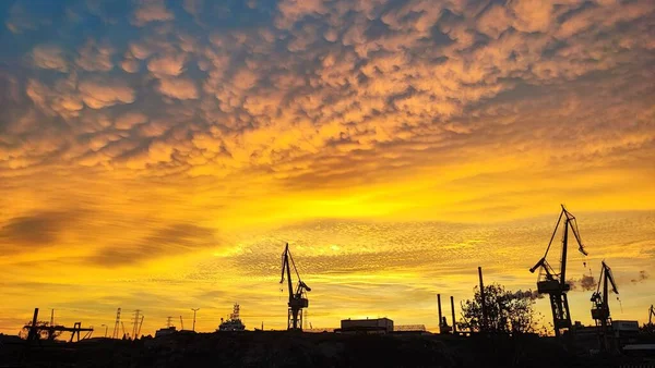 Een Uitzicht Van Kranen Een Haven Helder Gouden Zonsondergang Verlichting — Stockfoto