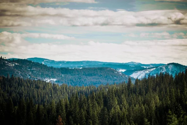 Вид Повітря Гірський Пейзаж Щільними Деревами — стокове фото