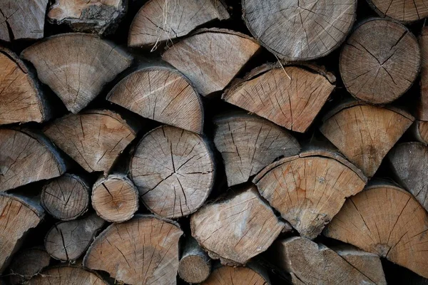 Zbliżenie Strzał Ciętego Drewna Opałowego Tapeta Ciętych Gałęzi Drzew Kłód — Zdjęcie stockowe