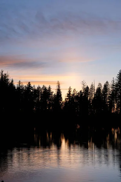 Вертикальный Снимок Силуэтов Деревьев Озера — стоковое фото