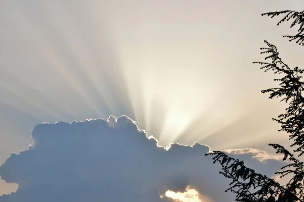 Naturskön Bild Ett Stort Fluffigt Moln Med Den Gyllene Solen — Stockfoto