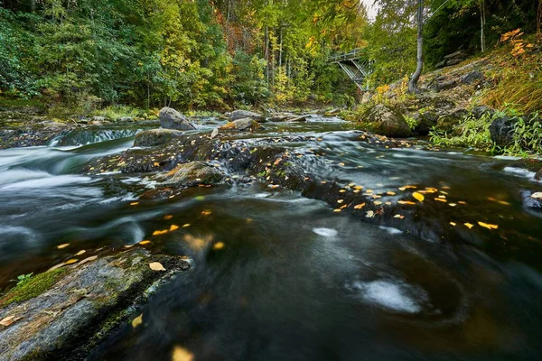 Una Hermosa Toma Una Cascada Rocosa Bosque Otoño — Foto de Stock