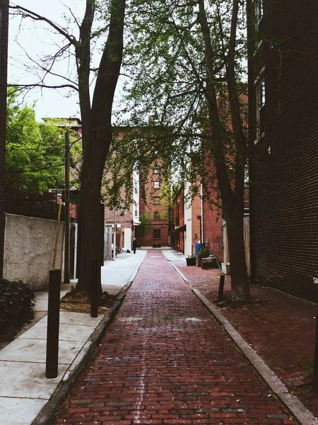 A vertical shot of cobblestone alley between trees and brick buildings