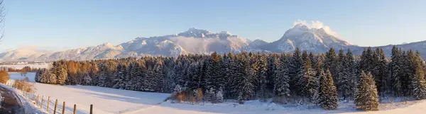 Stock image A panoramic view of winter forest during sunset